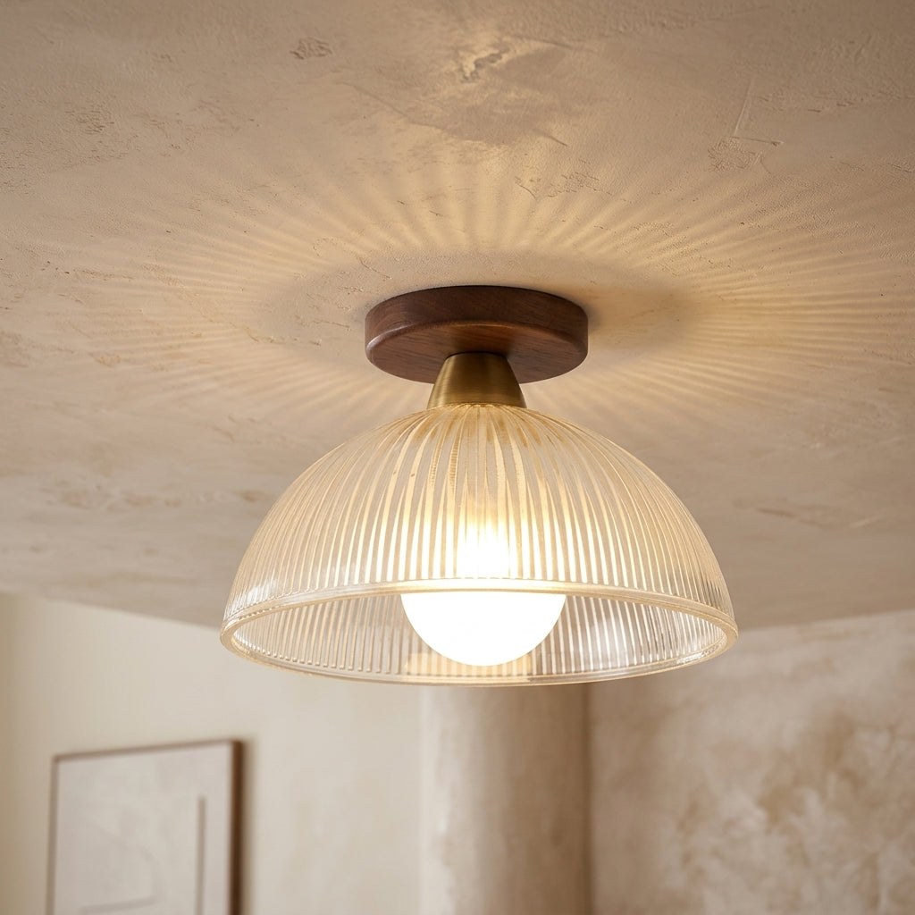 Elegant Modern Ceiling Lamp