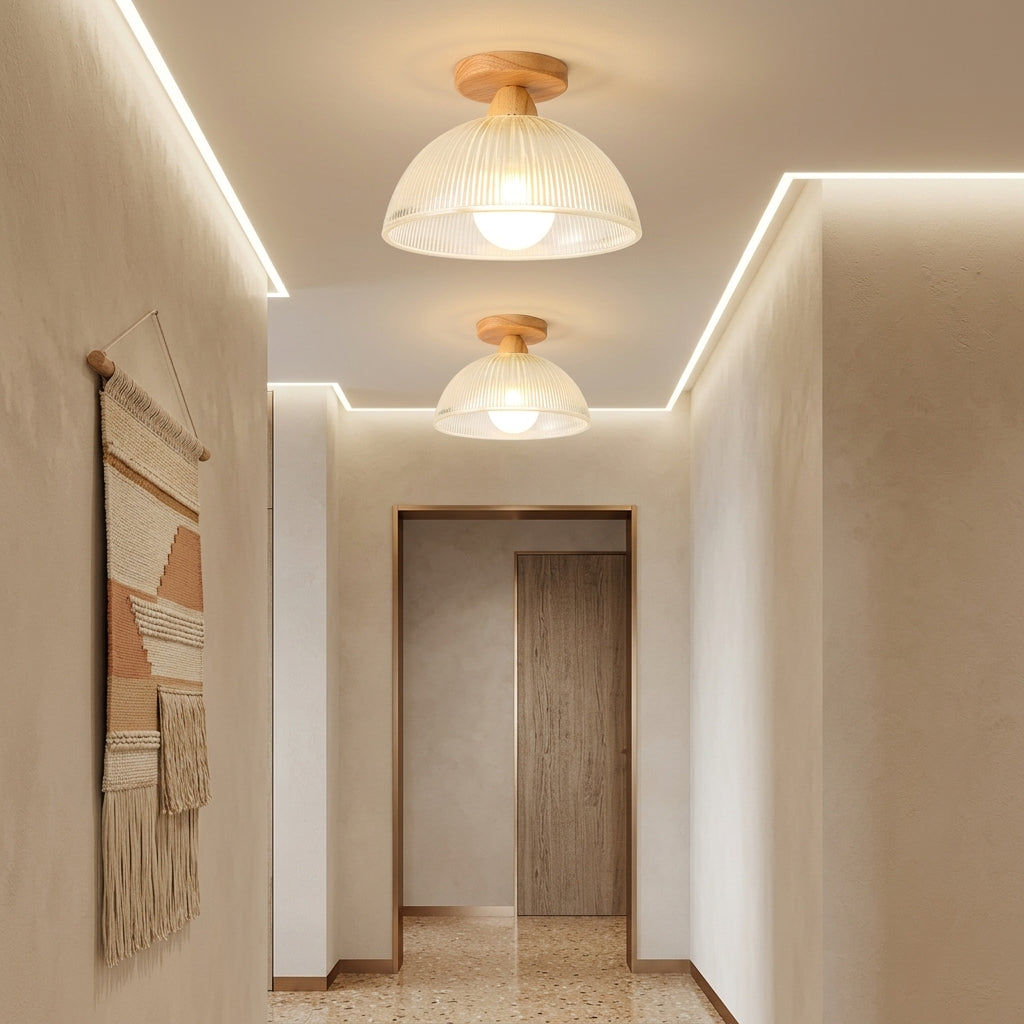 Elegant Modern Ceiling Lamp