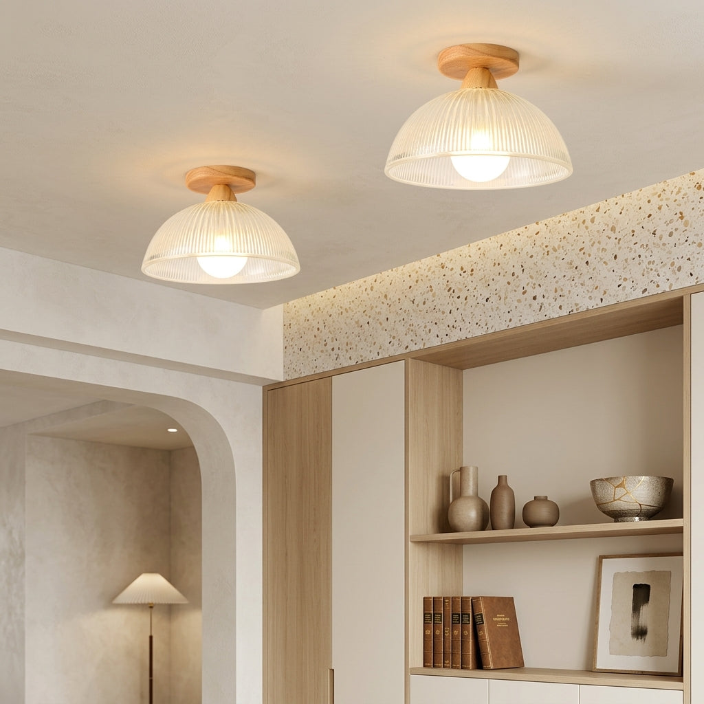 Elegant Modern Ceiling Lamp